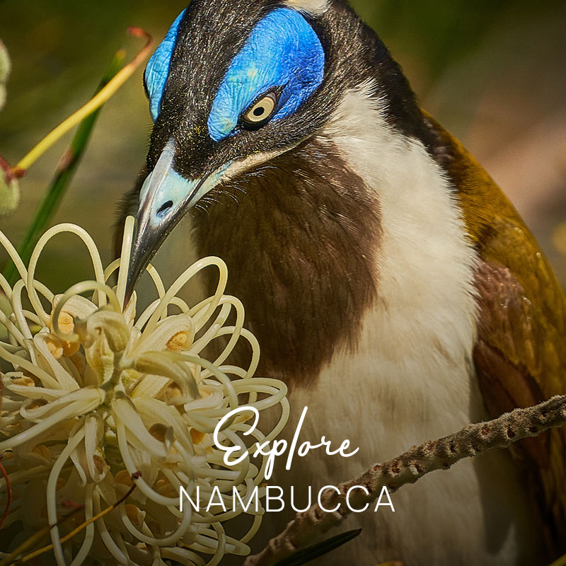 Explore_Nambucca_Tile